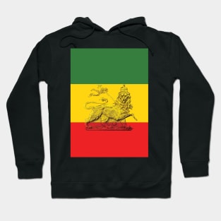 Lion of Judah Rasta Colours Hoodie